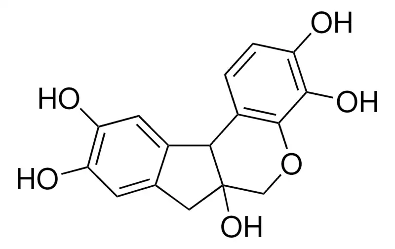 Hematoxylin, BSC Certified (C.I. 75290) - 1kg
