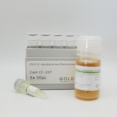 GV3101 Agrobacterium Electrocompetent Cells