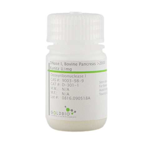 DNase I, Bovine Pancreas (Lysate Tested), >2000 Kunitz U/mg