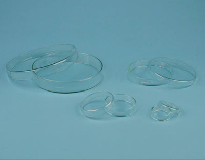 Glass Petri dish