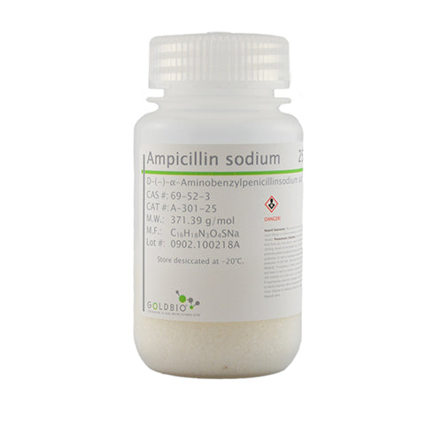 Ampicillin (Sodium)