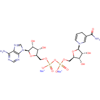 Nicotinamide adenine dinucleotide (reduced form) disodium salt
