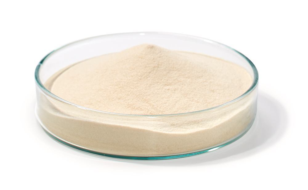 Yeast Extract Agar