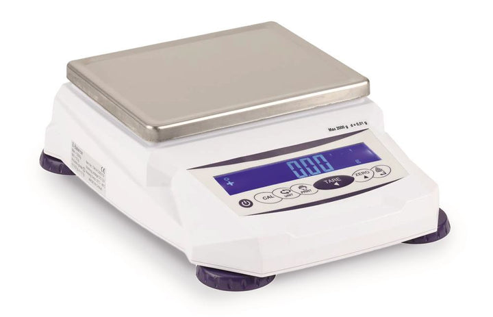 Precision balance