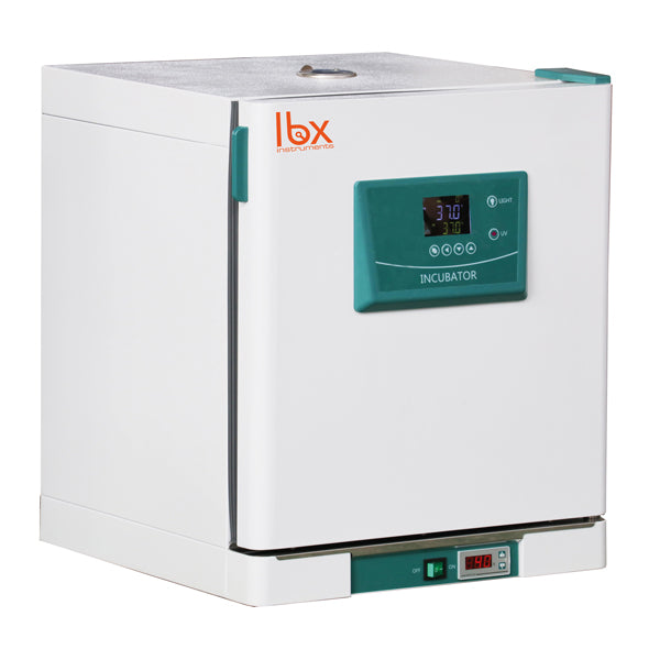 Constant temperature incubator